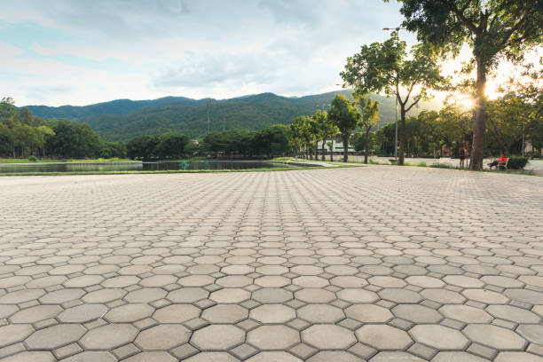 Best Driveway Paving Contractor  in Elverta, CA