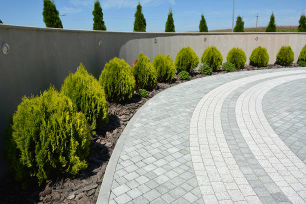Reasons to Select Us for Your Driveway Paving Requirements in Elverta, CA